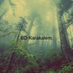 Bd Karakalem