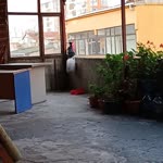 Kahraman