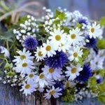 Nihal