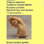 Fatma