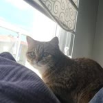 Zeynep