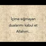 Yunus