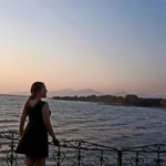 Buse