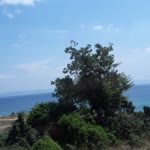Emel
