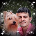 Resul