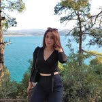 Buse