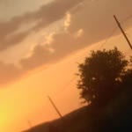 Saliha