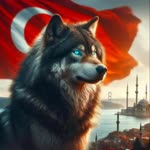 Enis