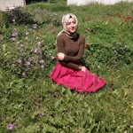 Şükran