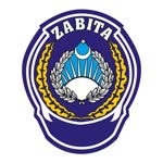 Özlem
