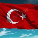 Sibel