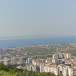 Kartal