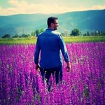 Halil