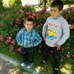 Ayfer