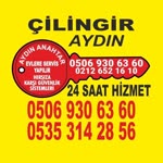 Aydın