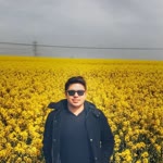 Erdal