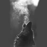Onur