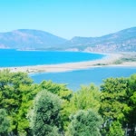 Selçuk