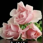 Ebru