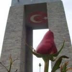Erdal