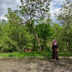 Pınar
