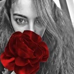 Sibel