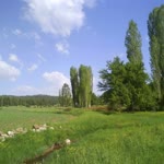 Şükran