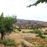 Abdurrahman