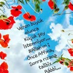 Seher