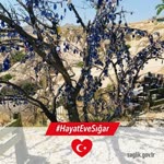 Kuzey