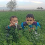 Erdal