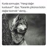 Yavuz