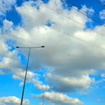Tarık