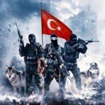 Tamer