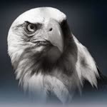 Caner