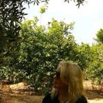 Zehra