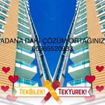 Haydar