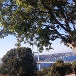 Elif