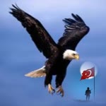 Nihat