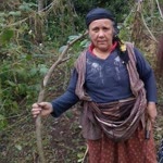 Serpil