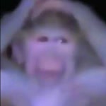 The