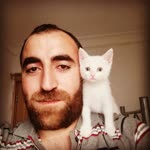 Vedat