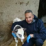 Mehmet
