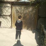 Selin
