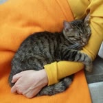 Özlem