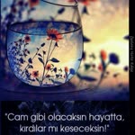 Ranıp