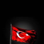 Ayşegül