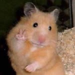 Kaan