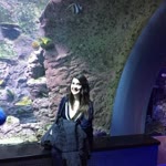 Merve