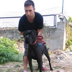 Deniz